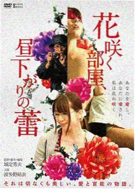 小妇人1949版海报